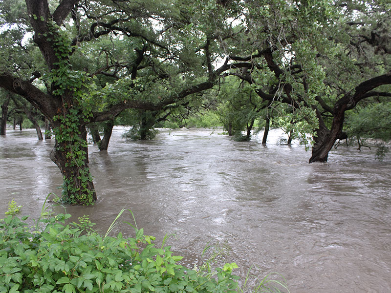Geronimo Creek Flood Protection Plan